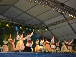 Festival de Folkore en Mula